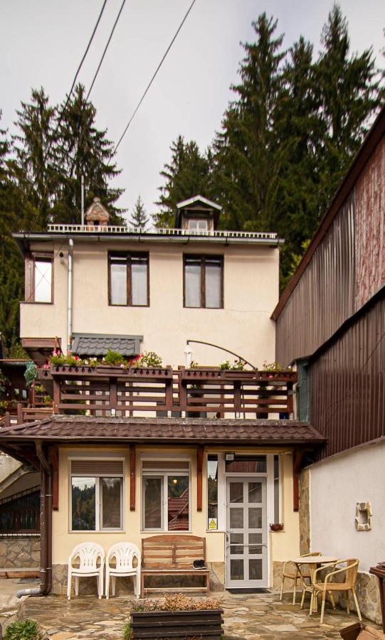 Casa Sara Apartman Sinaia Kültér fotó