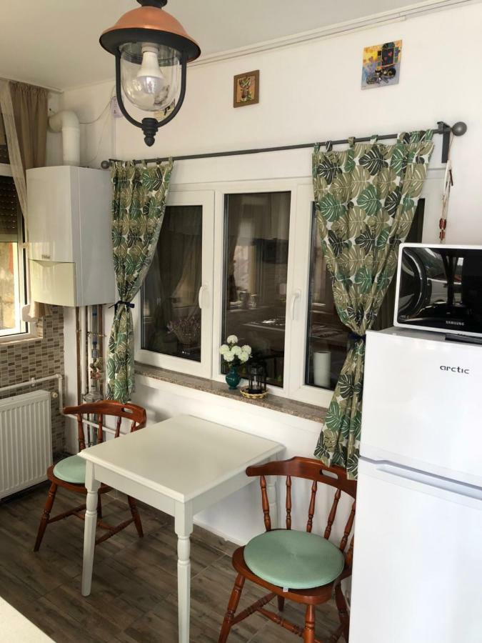 Casa Sara Apartman Sinaia Kültér fotó